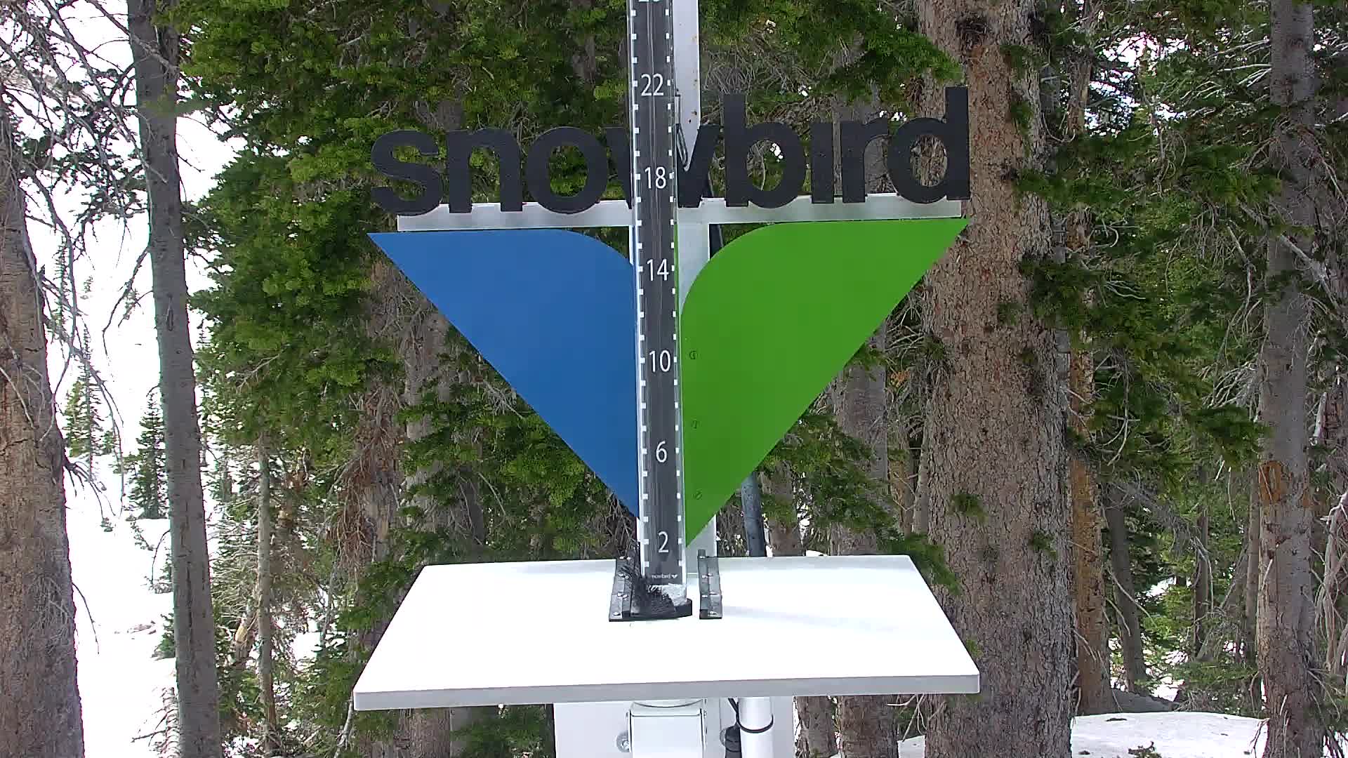 Snowbird snow stake cam