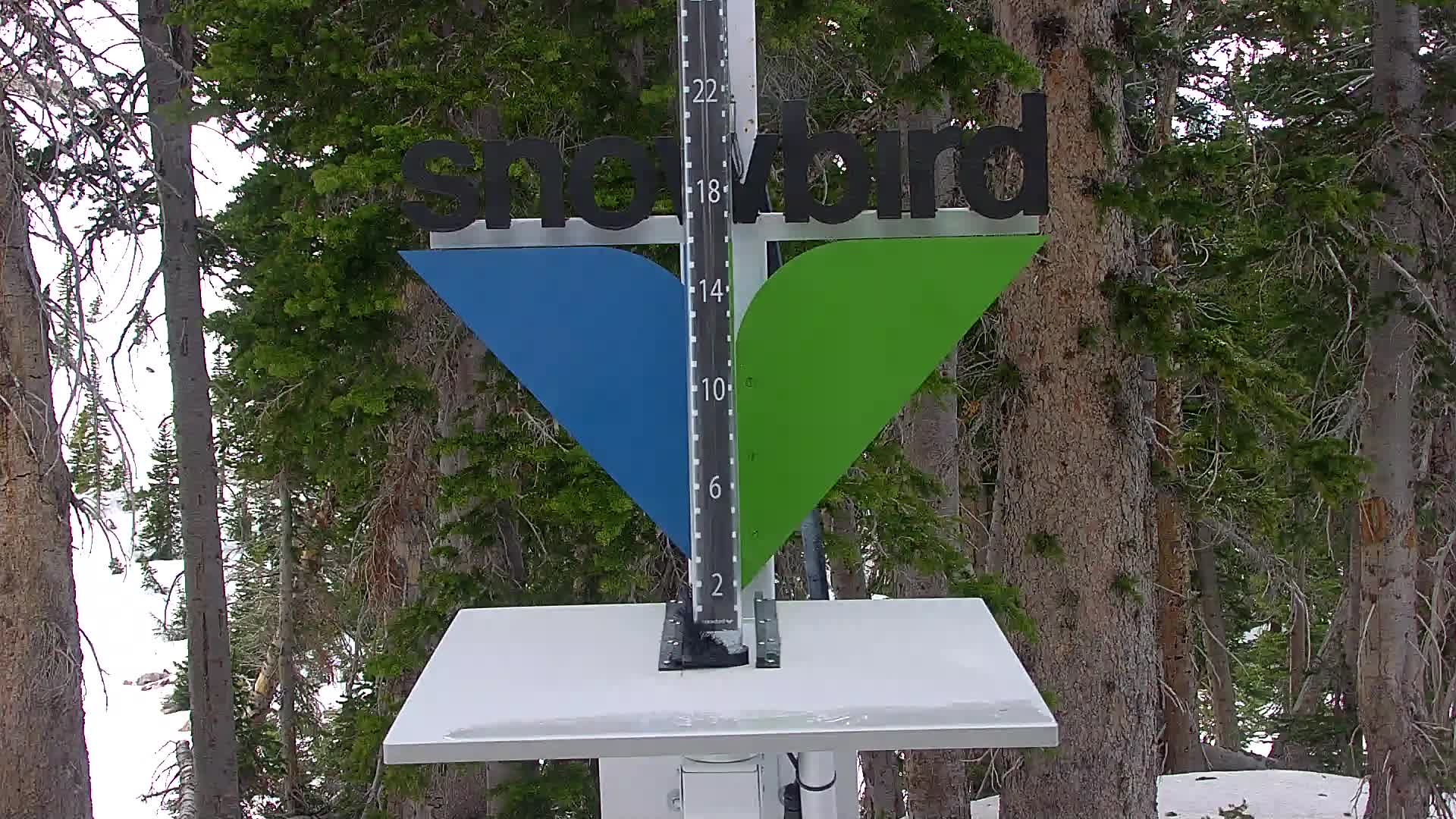 Snowbird snow stake cam