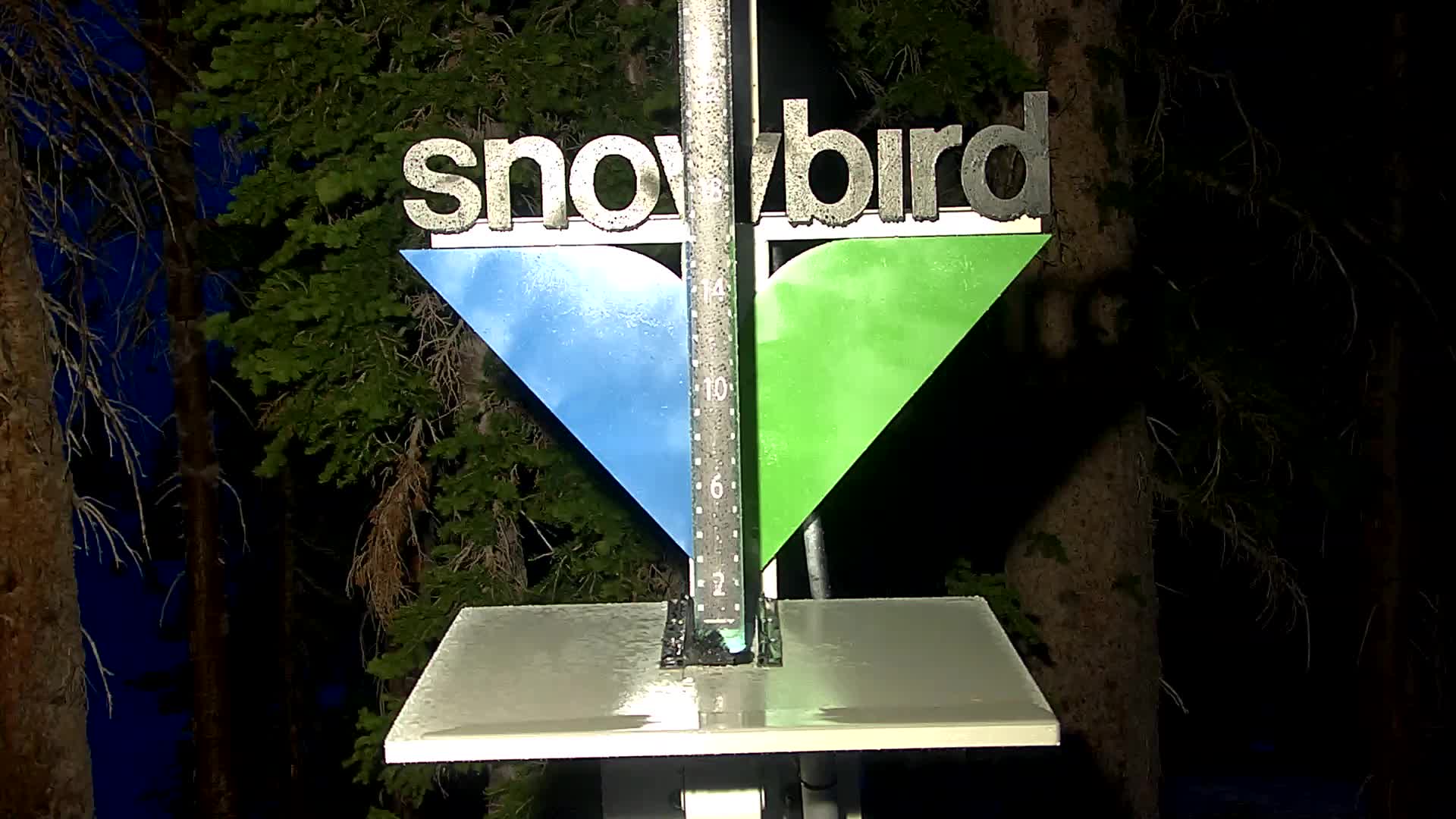Snowbird snow stake cam