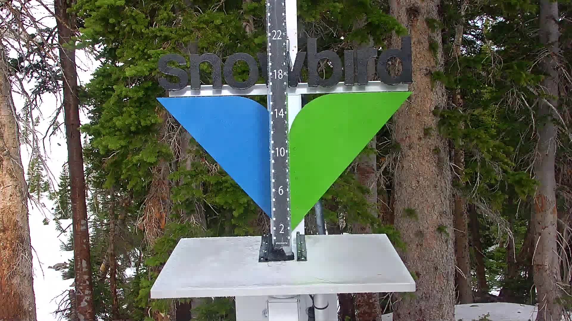 Snowbird snow stake cam