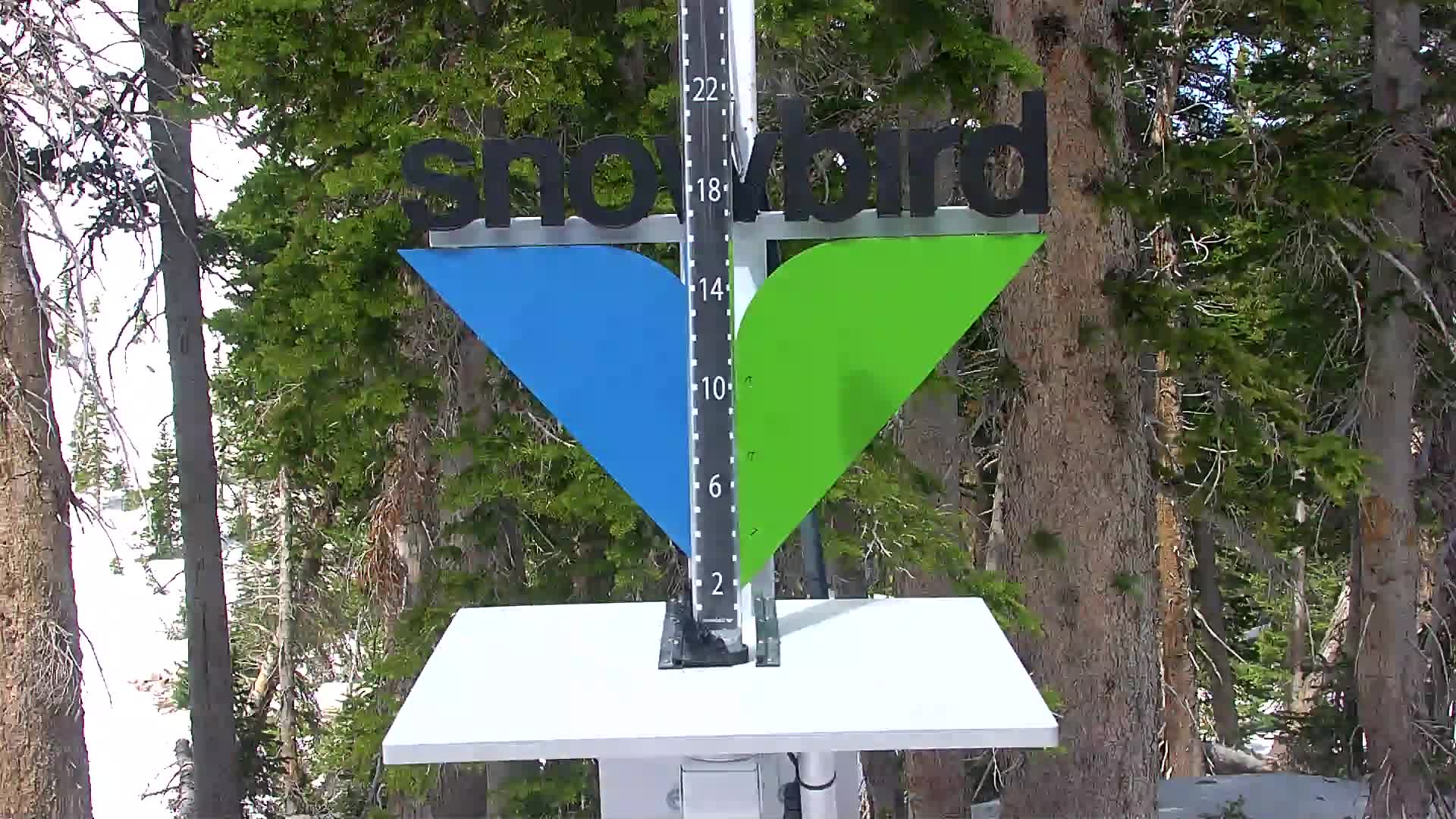 Snowbird snow stake cam