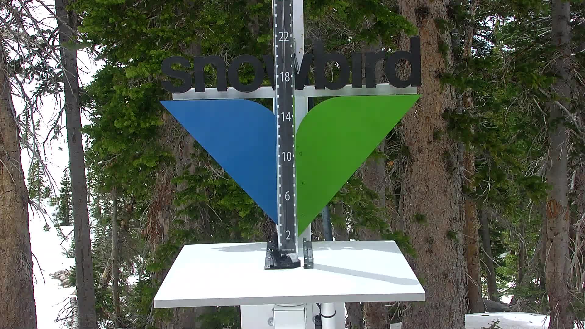 Snowbird snow stake cam