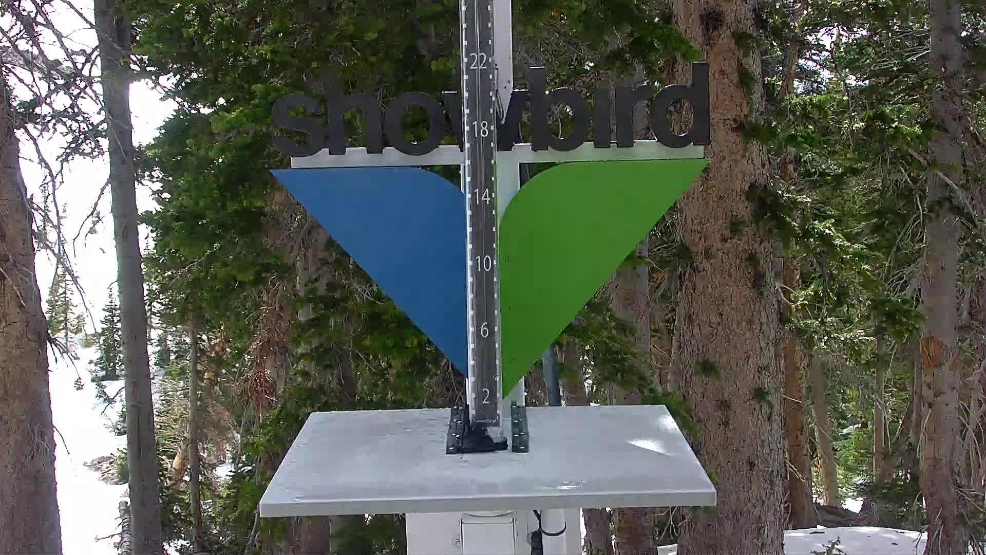 Snowbird snow stake cam