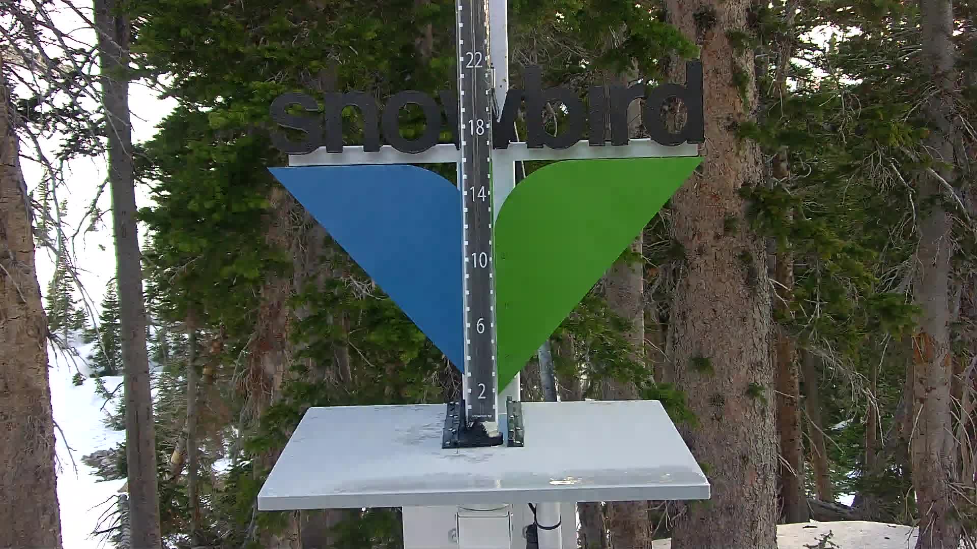 Snowbird snow stake cam