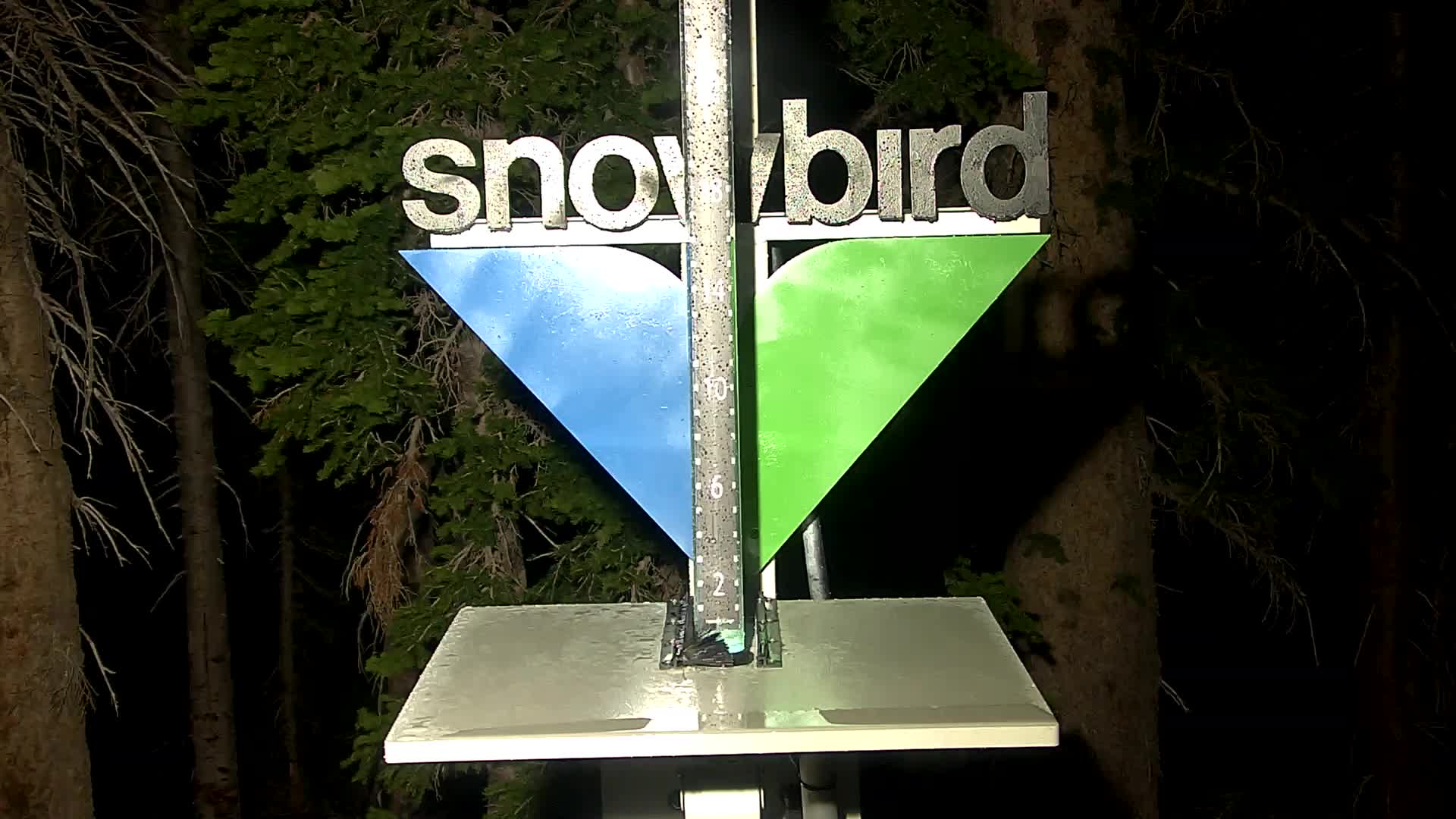 Snowbird snow stake cam