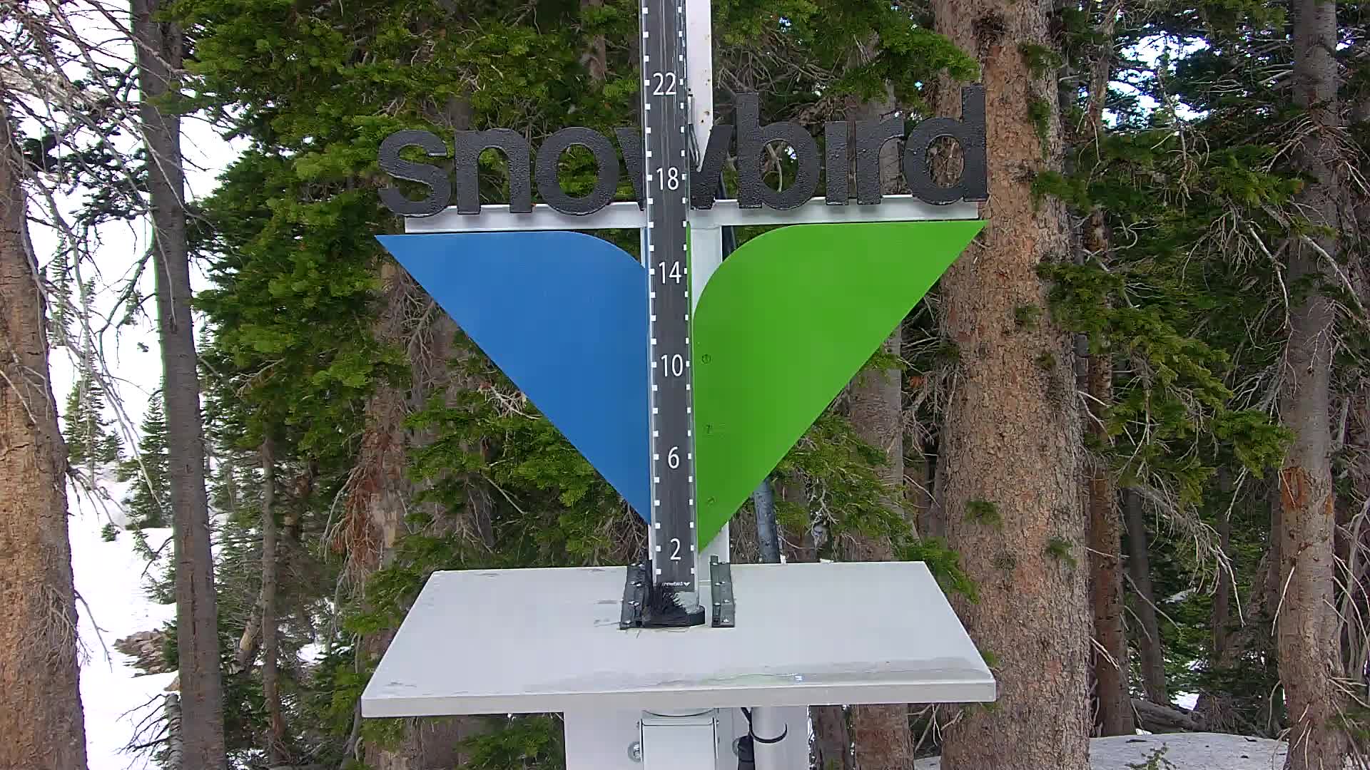 Snowbird snow stake cam