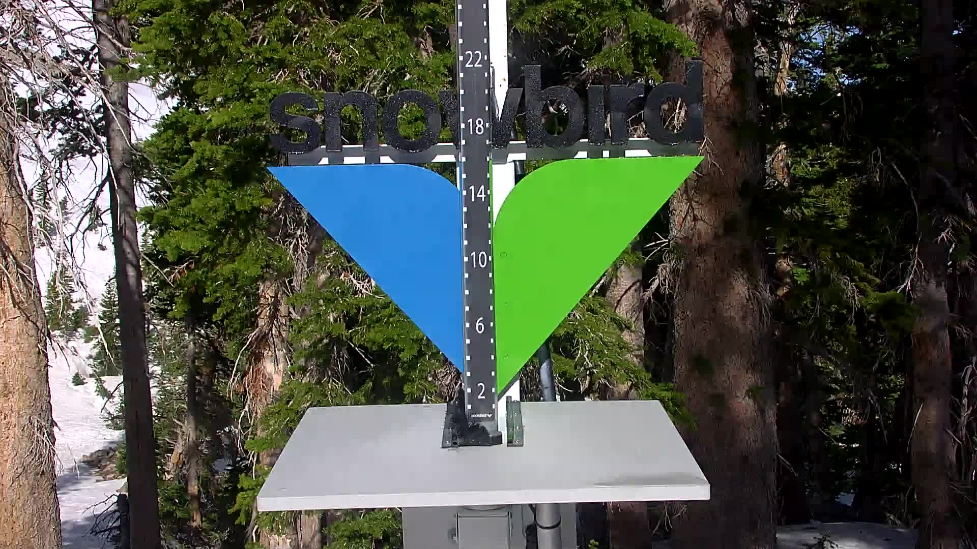 Snowbird snow stake cam
