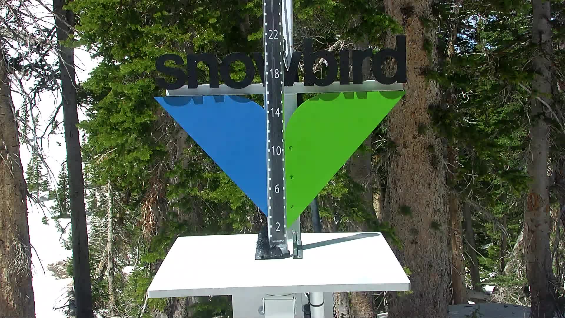Snowbird snow stake cam