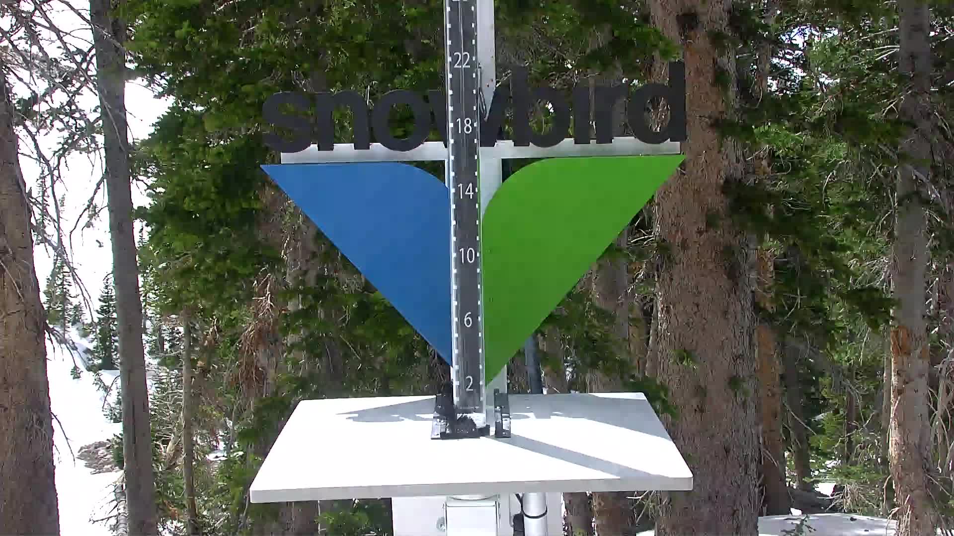 Snowbird snow stake cam