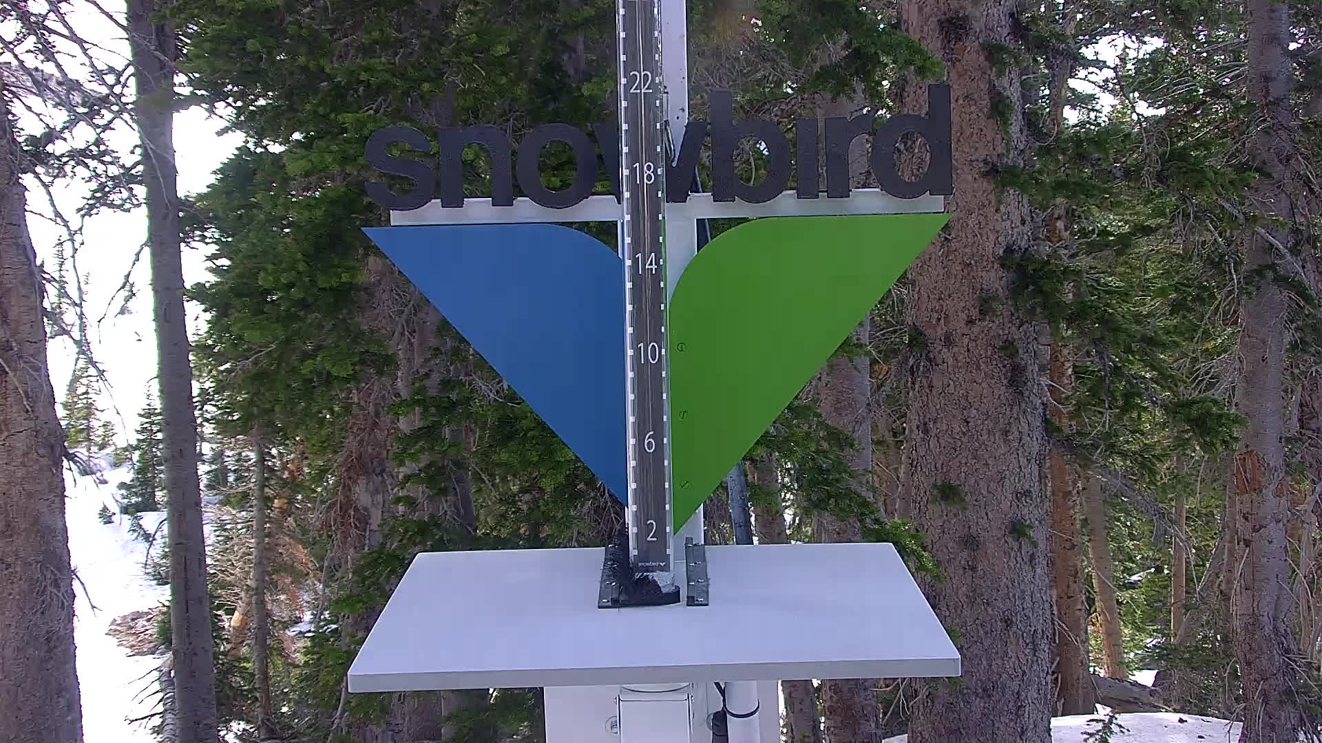 Snowbird snow stake cam