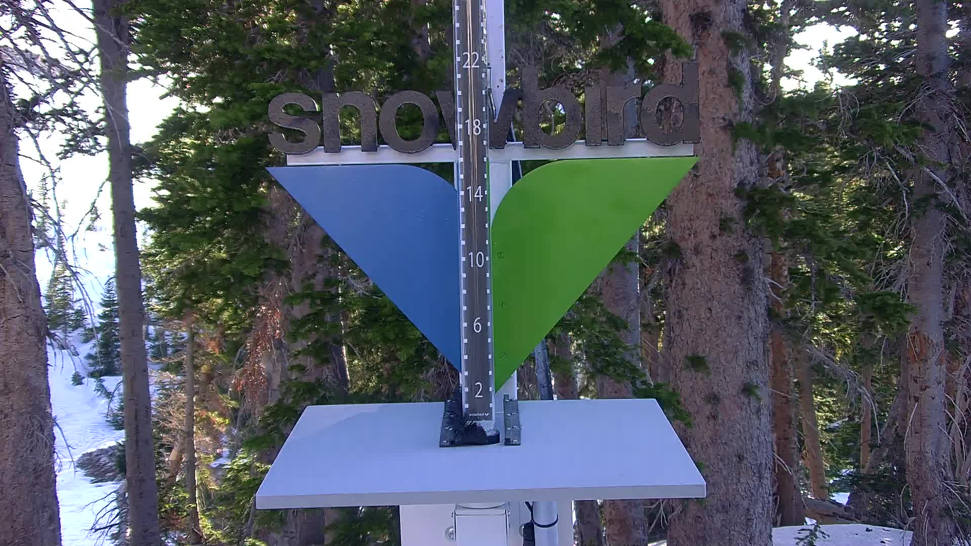 Snowbird snow stake cam