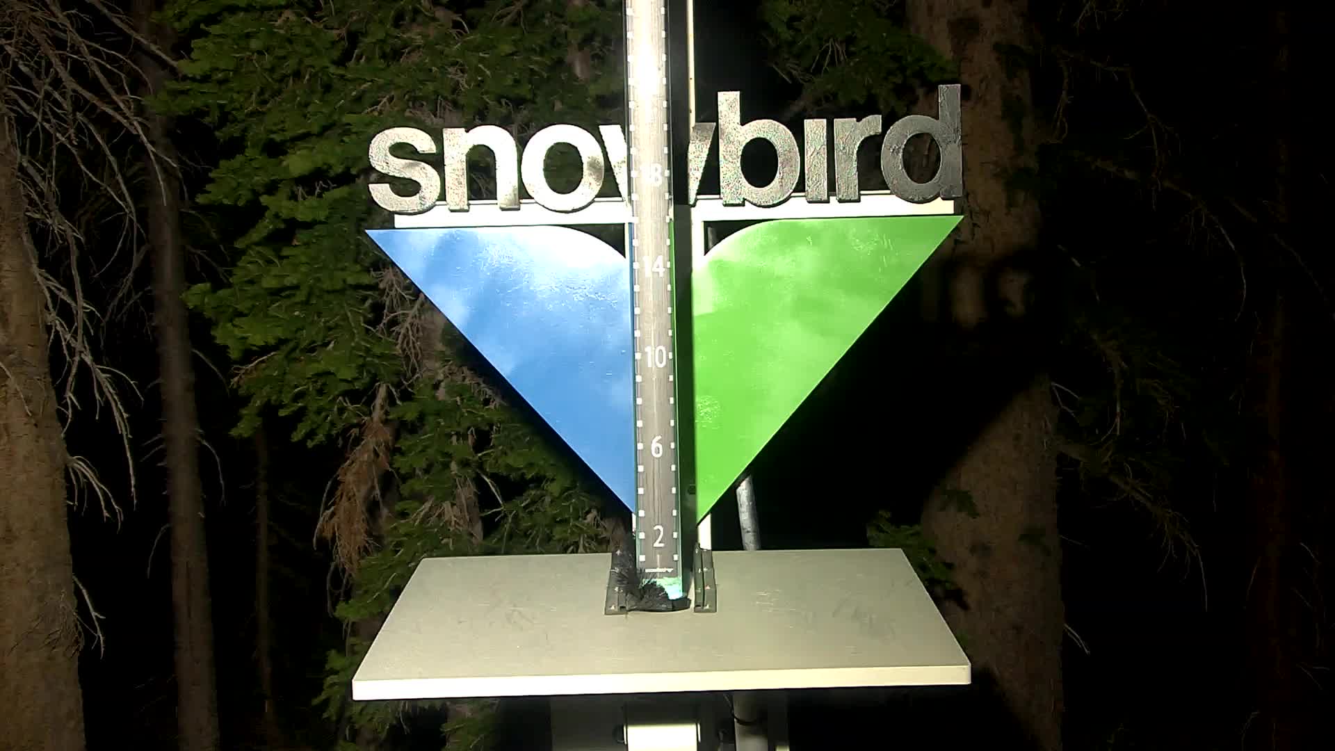 Snowbird snow stake cam