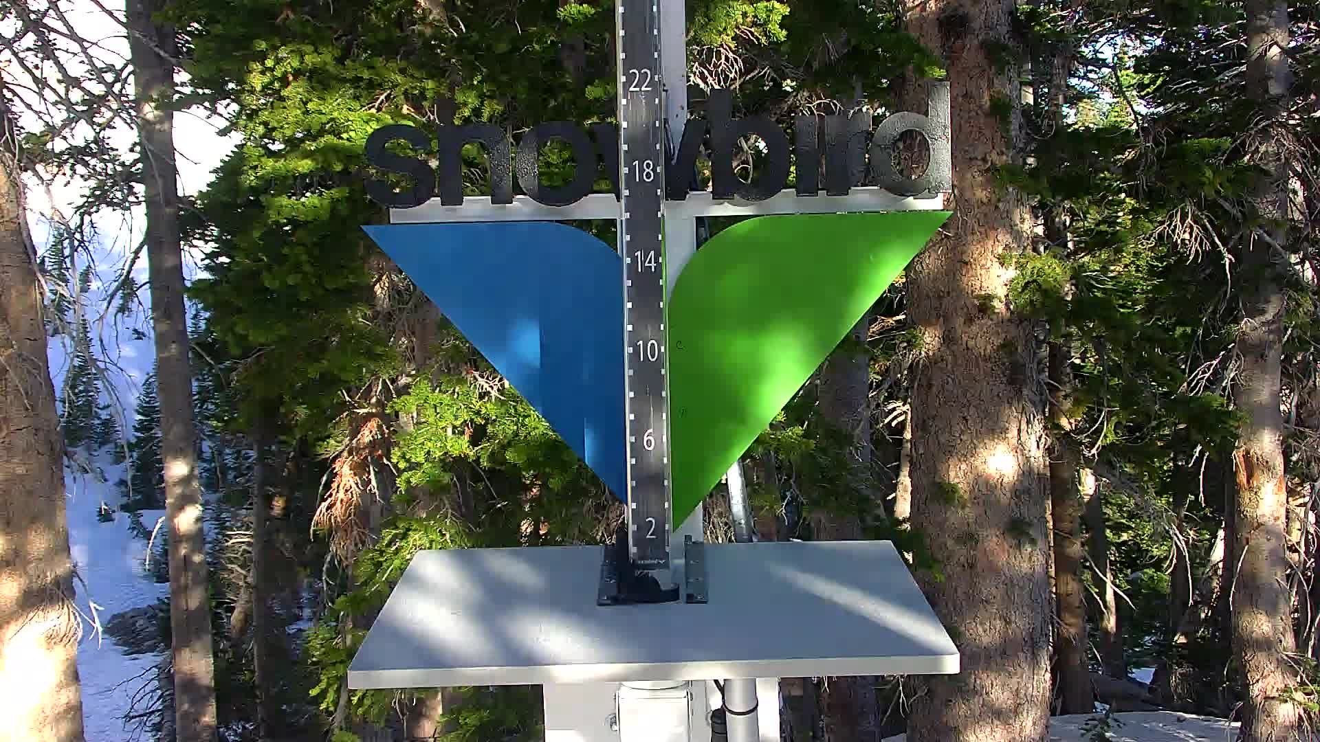 Snowbird snow stake cam