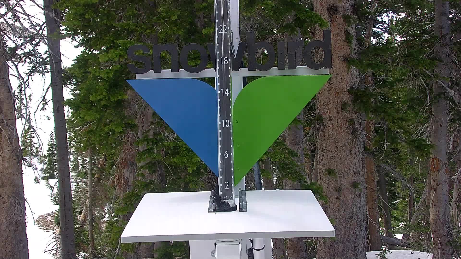 Snowbird snow stake cam