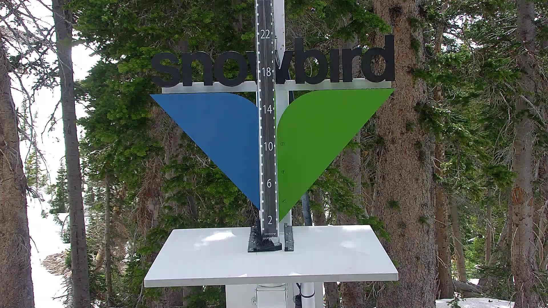 Snowbird snow stake cam