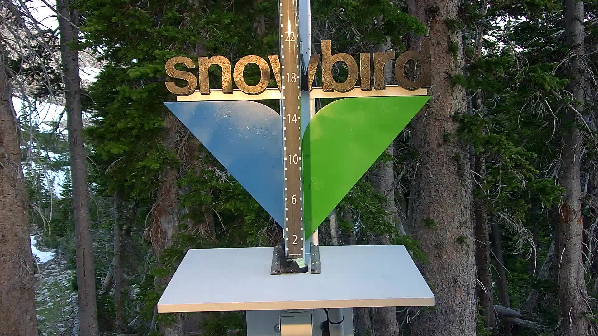 Snowbird snow stake cam