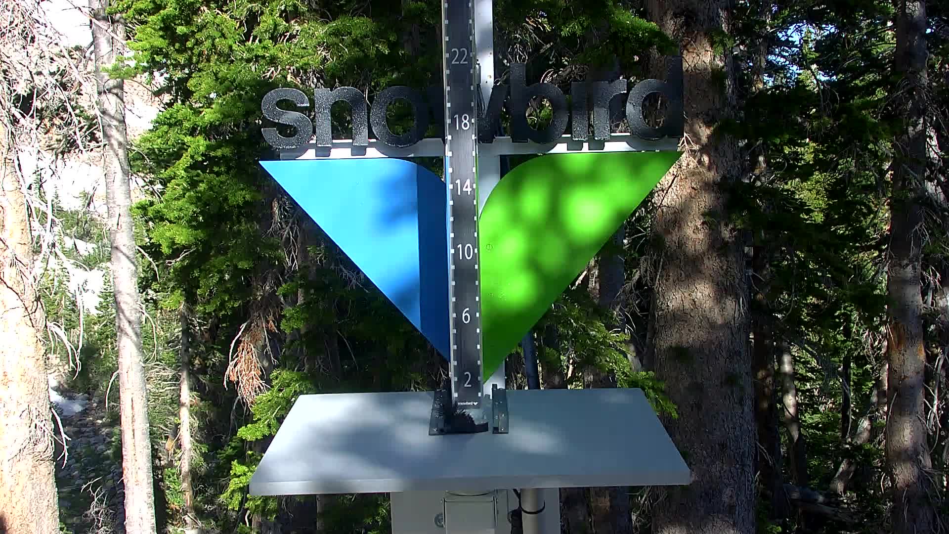 Snowbird snow stake cam