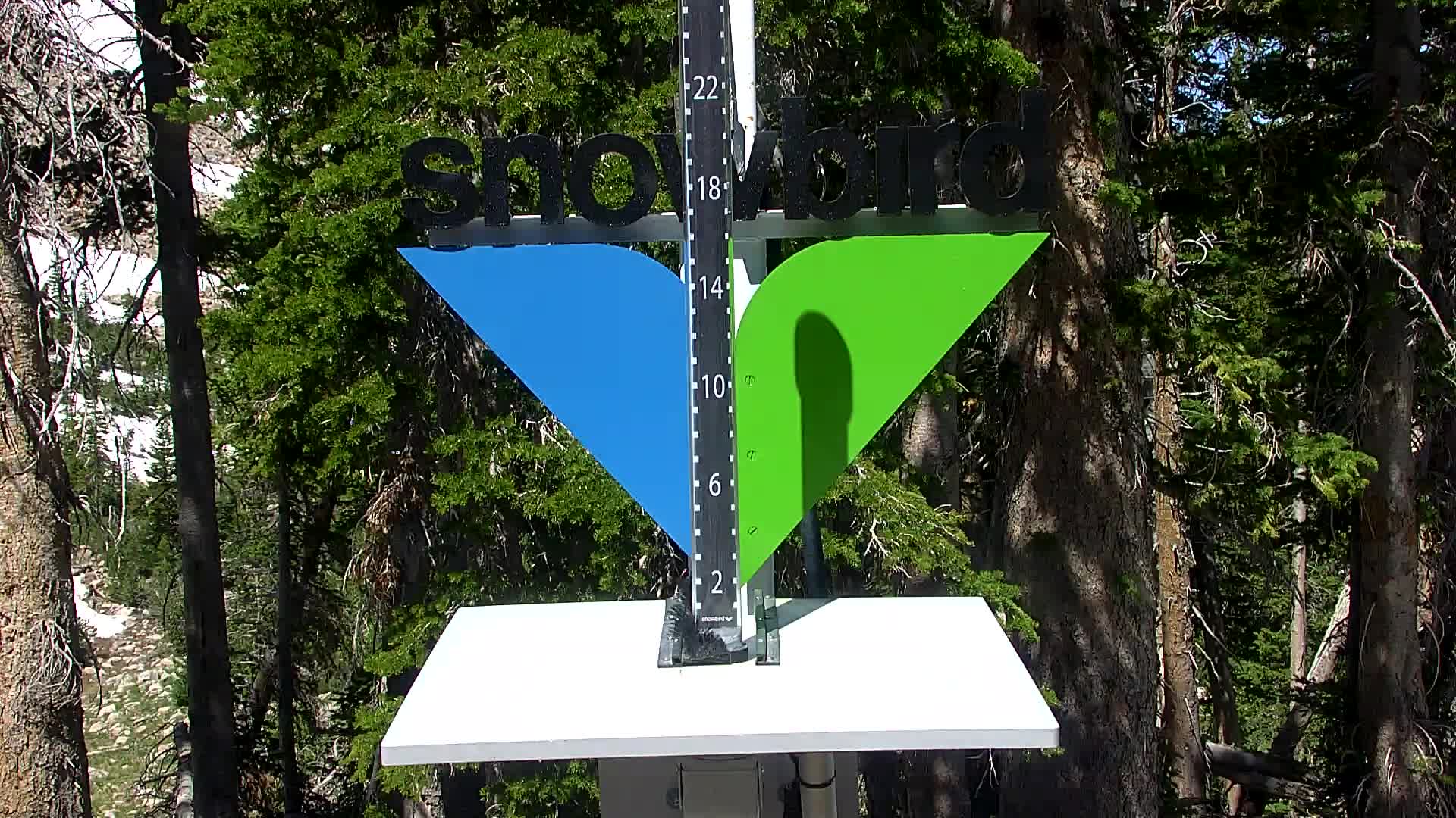 Snowbird snow stake cam
