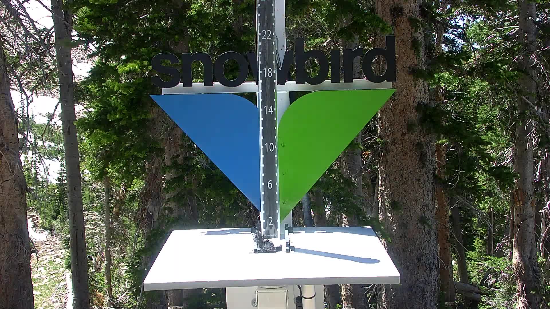 Snowbird snow stake cam