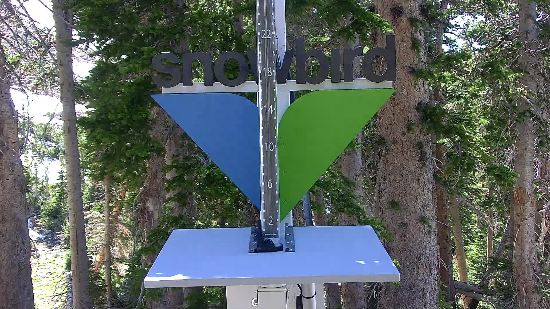 Snowbird snow stake cam