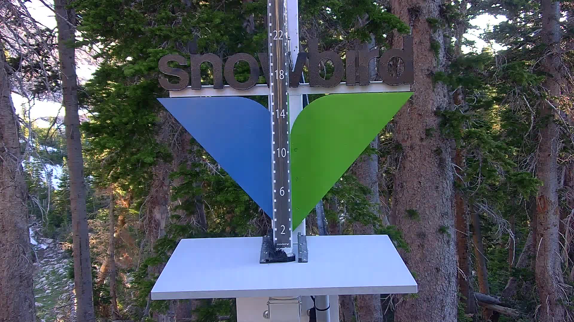 Snowbird snow stake cam