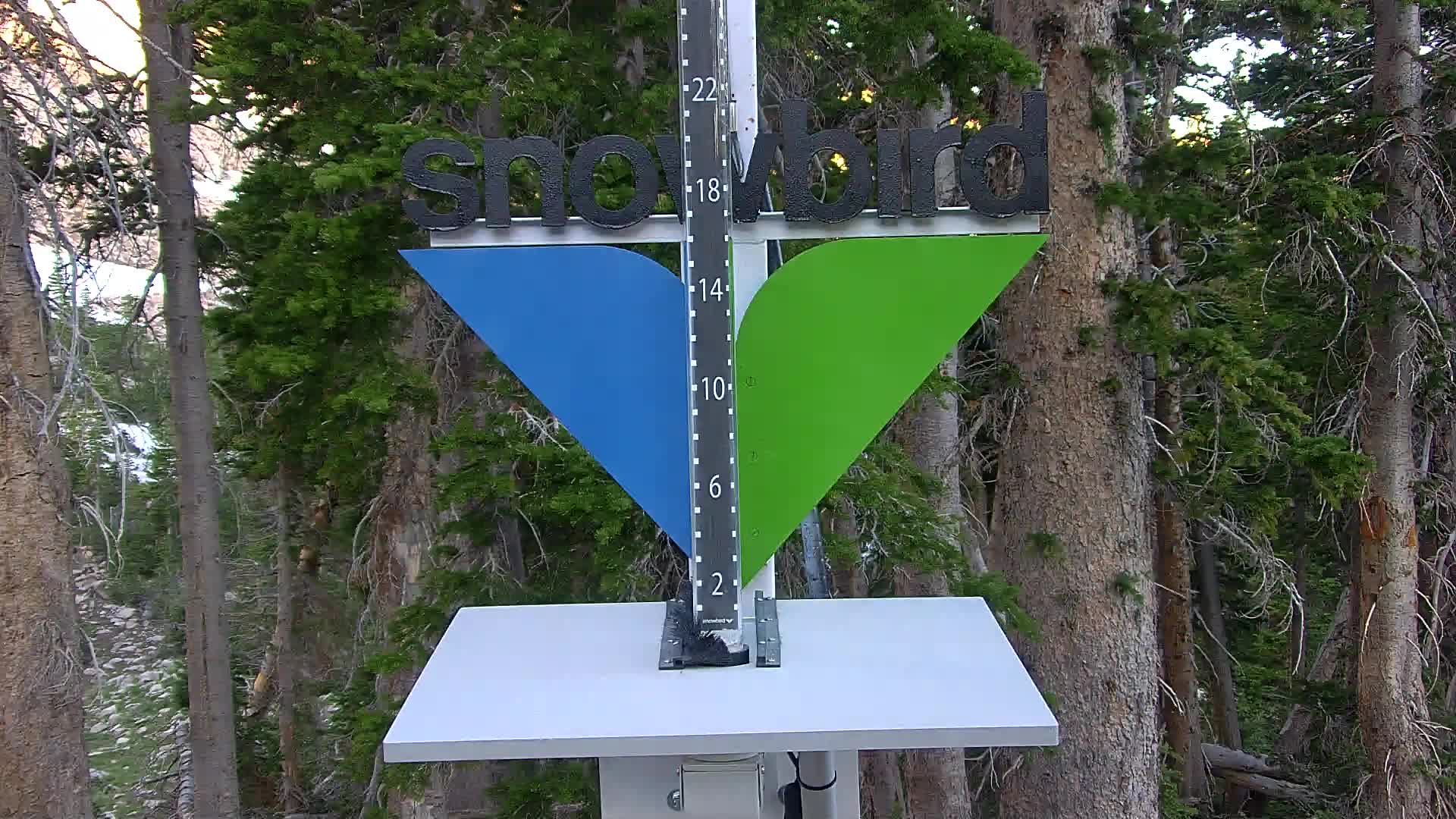 Snowbird snow stake cam