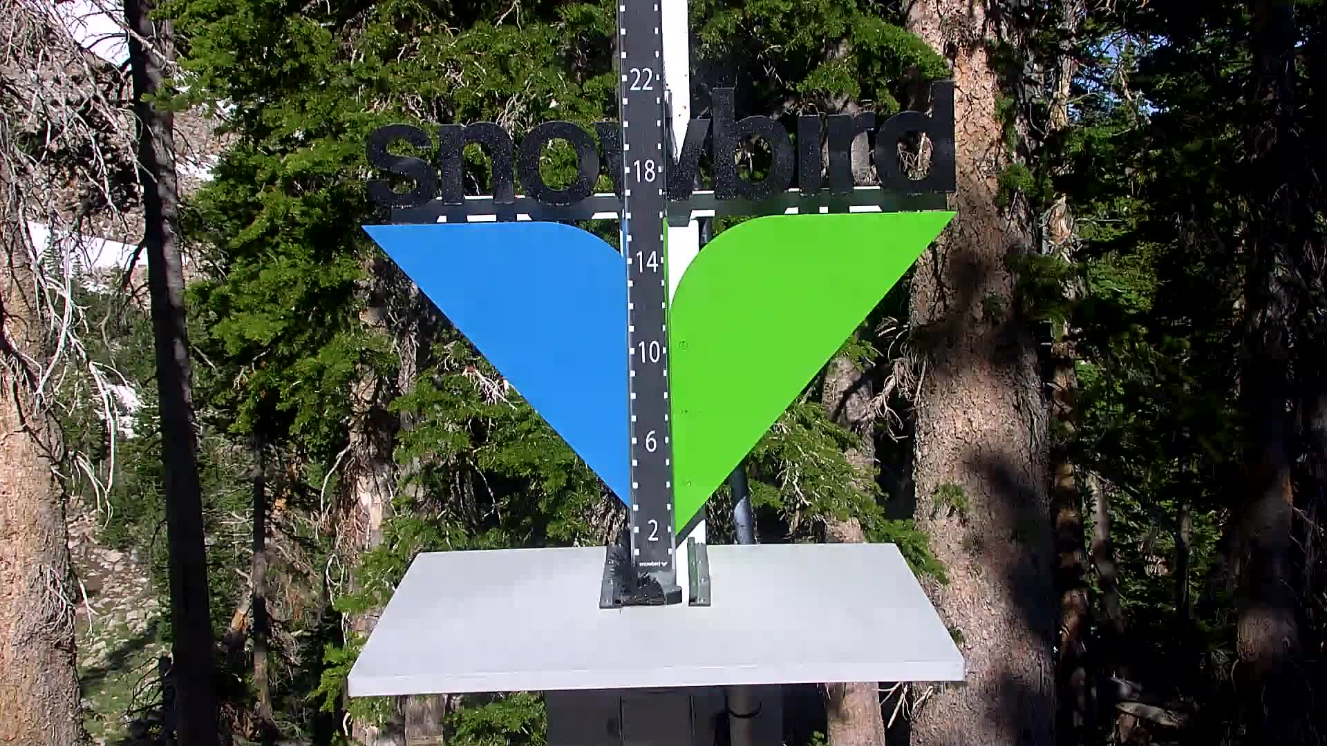 Snowbird snow stake cam
