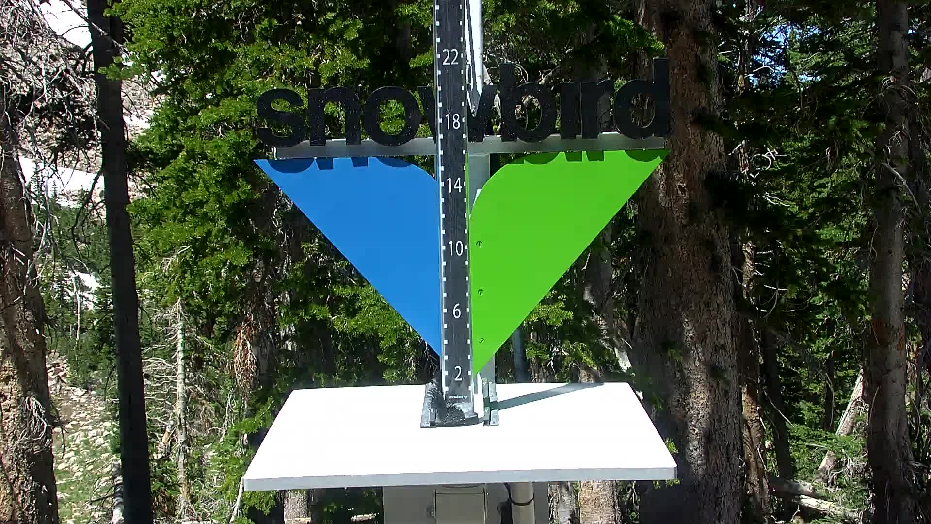 Snowbird snow stake cam