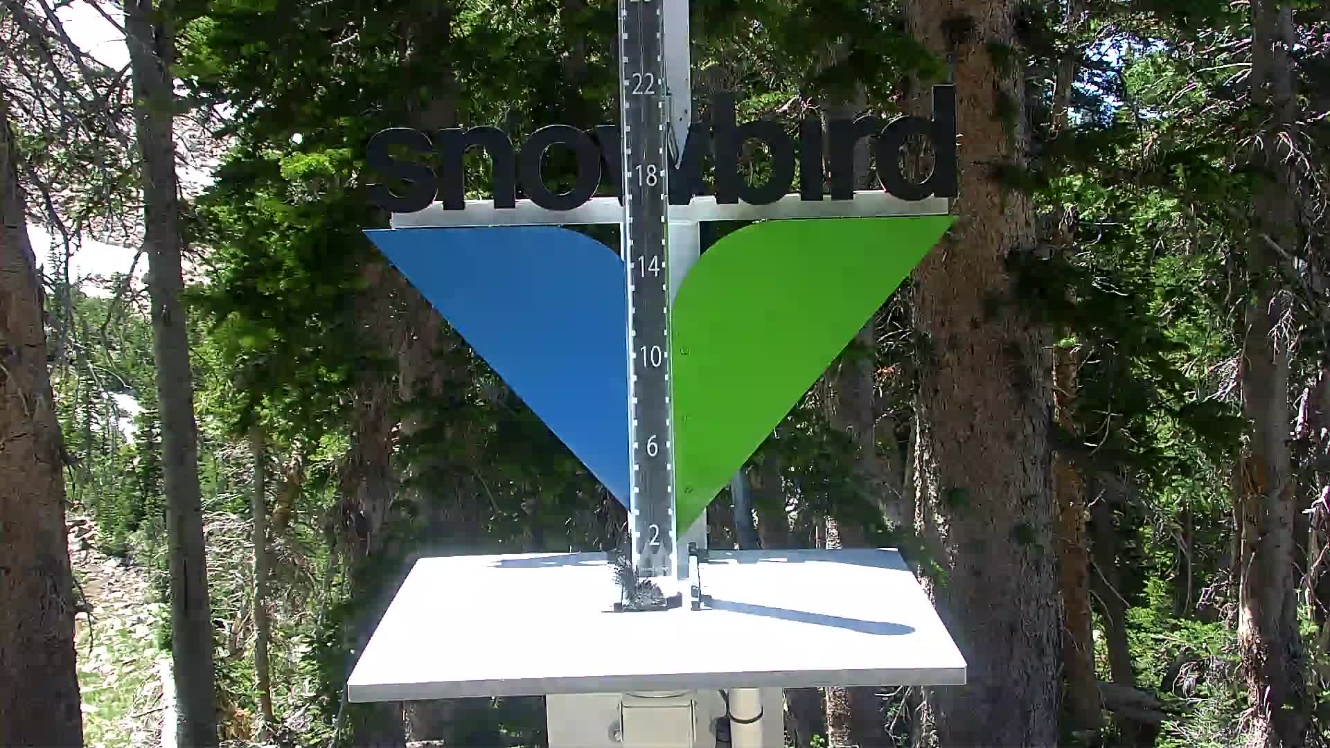 Snowbird snow stake cam