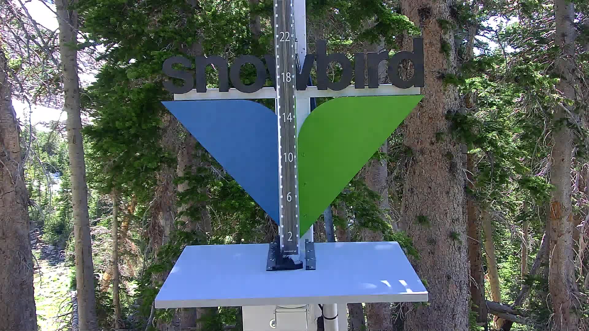 Snowbird snow stake cam