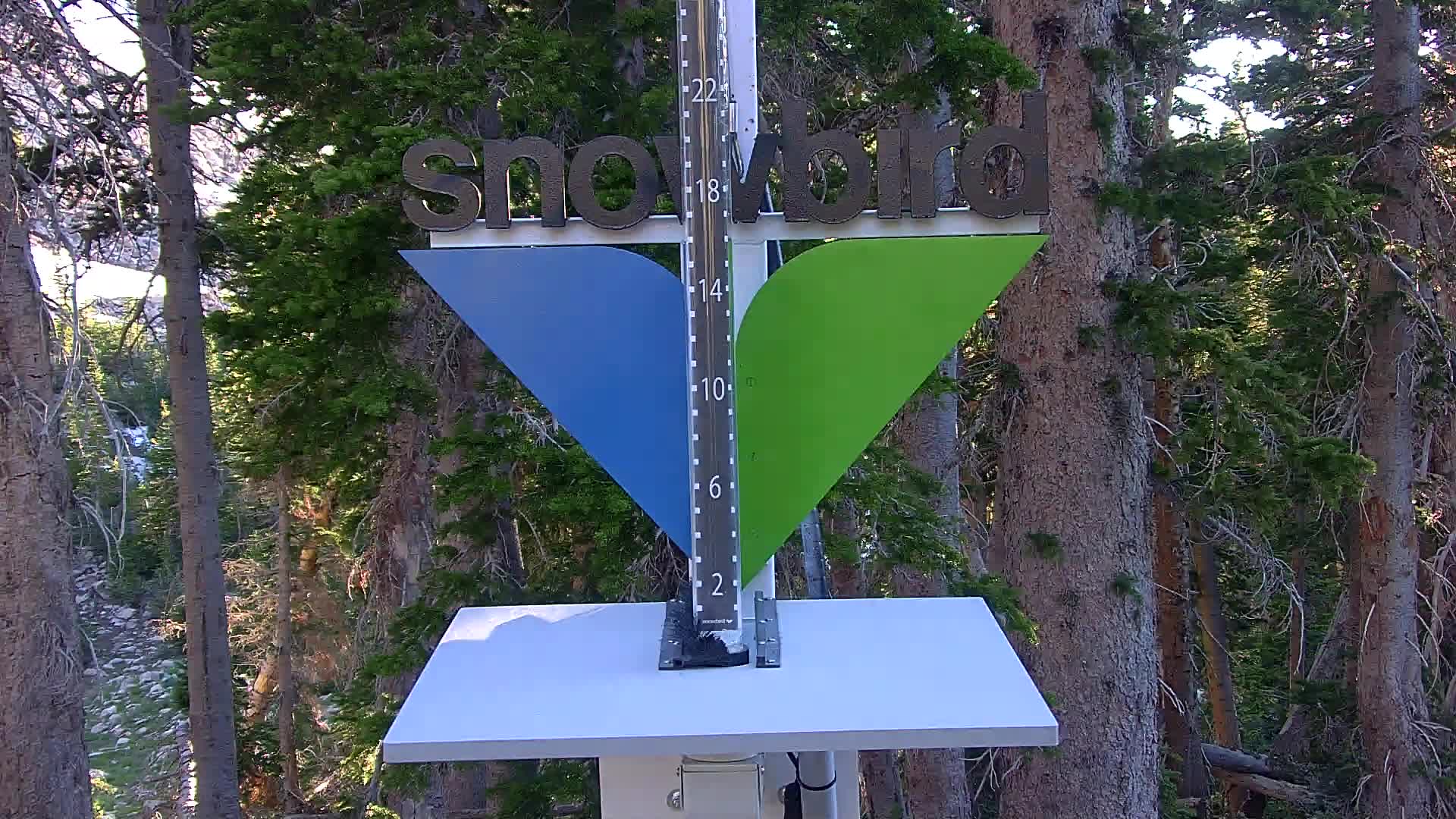 Snowbird snow stake cam