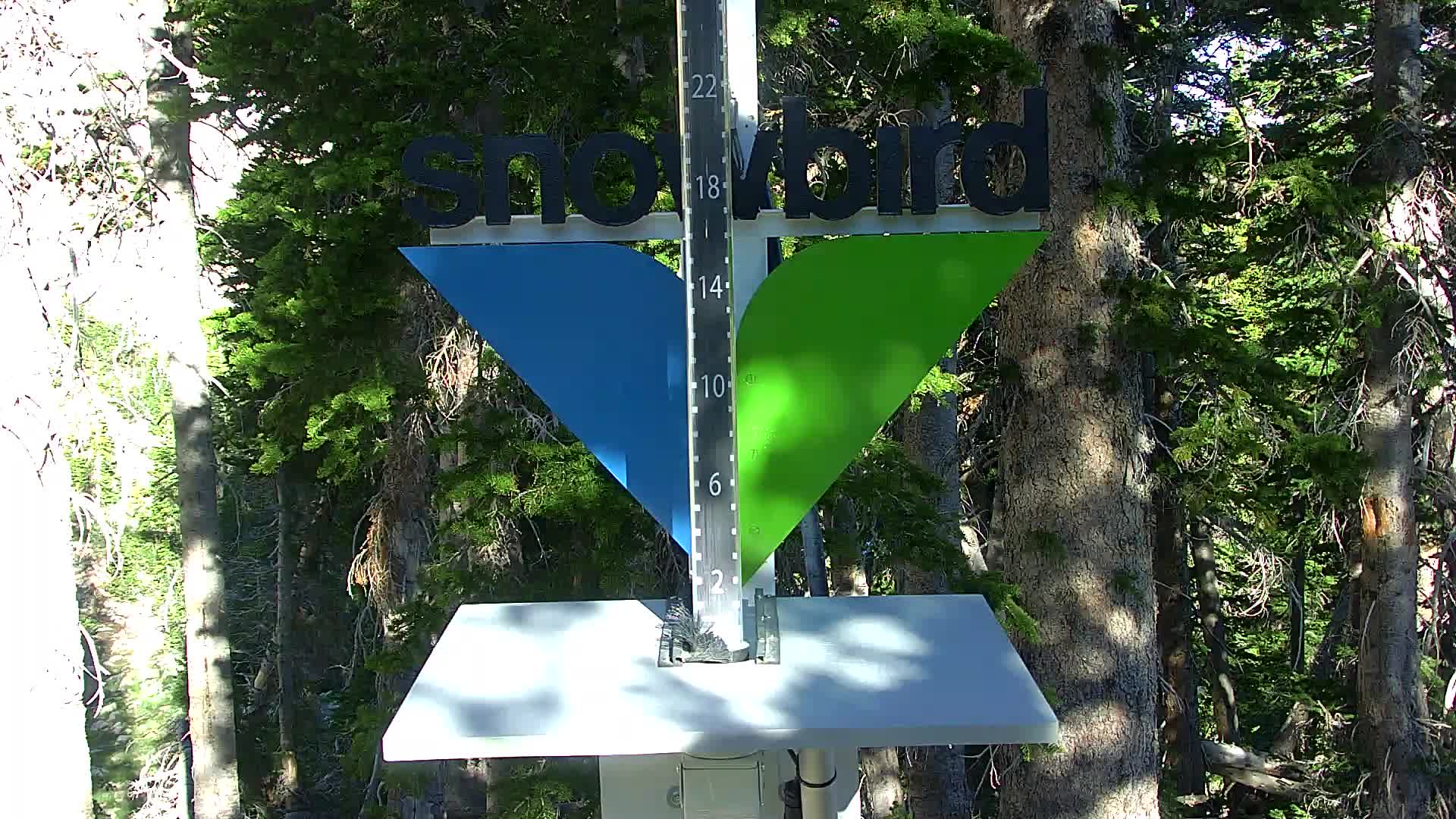 Snowbird snow stake cam