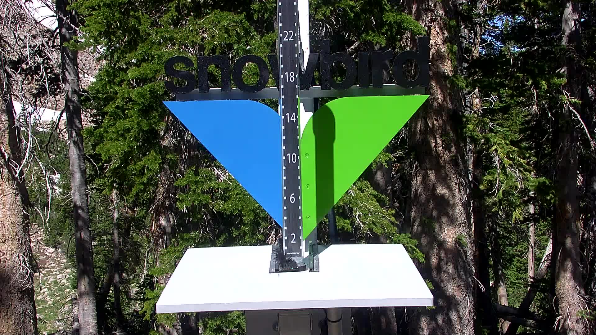 Snowbird snow stake cam