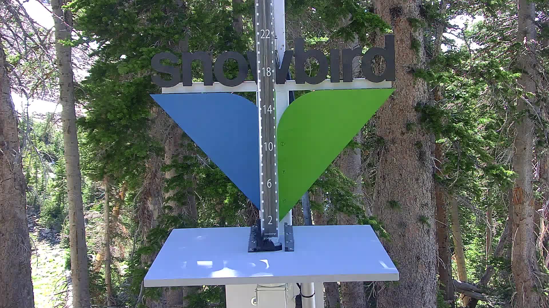 Snowbird snow stake cam
