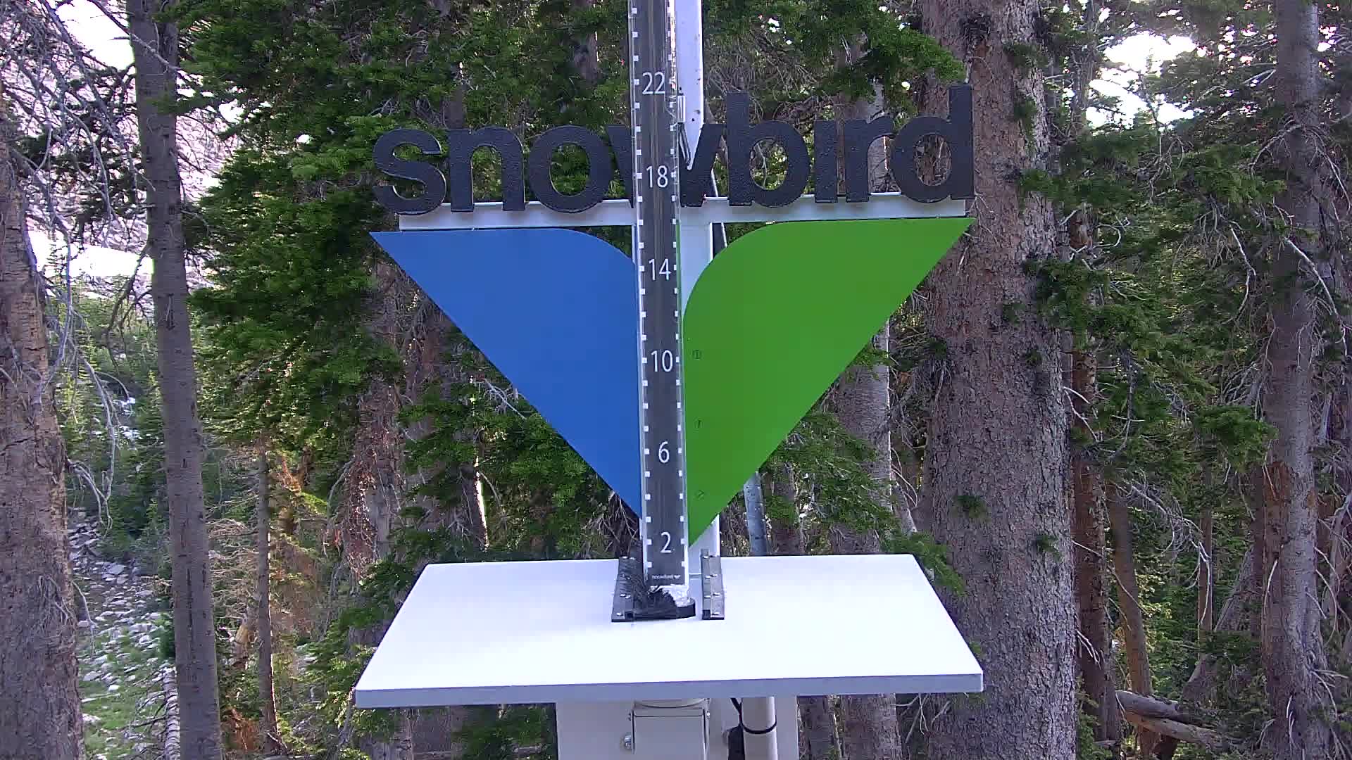 Snowbird snow stake cam