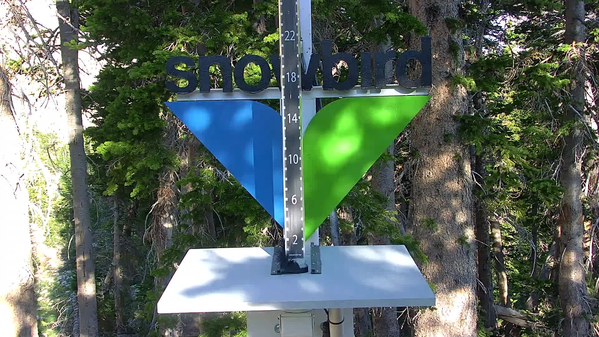 Snowbird snow stake cam