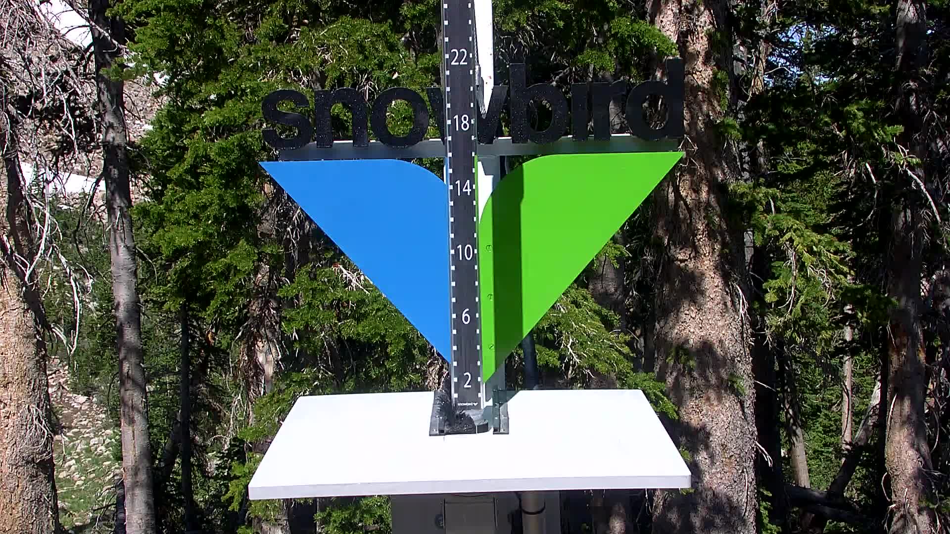 Snowbird snow stake cam