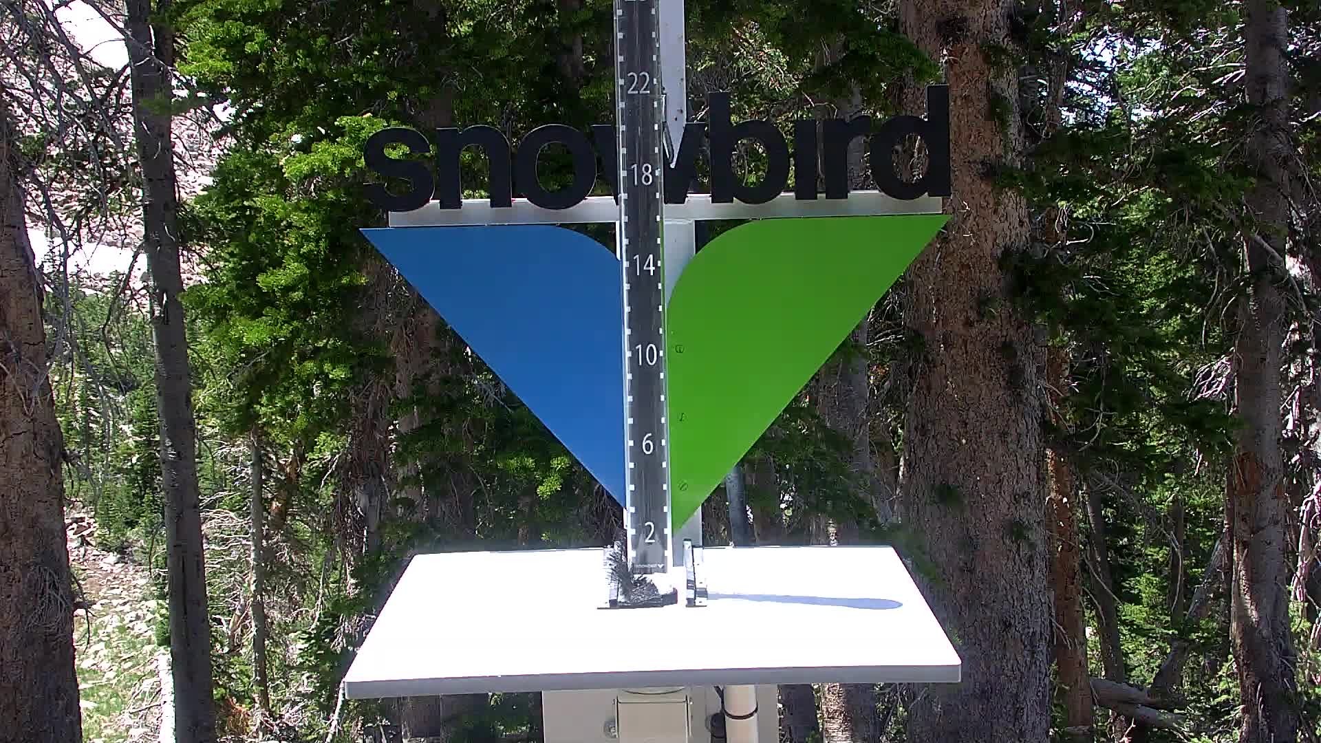 Snowbird snow stake cam