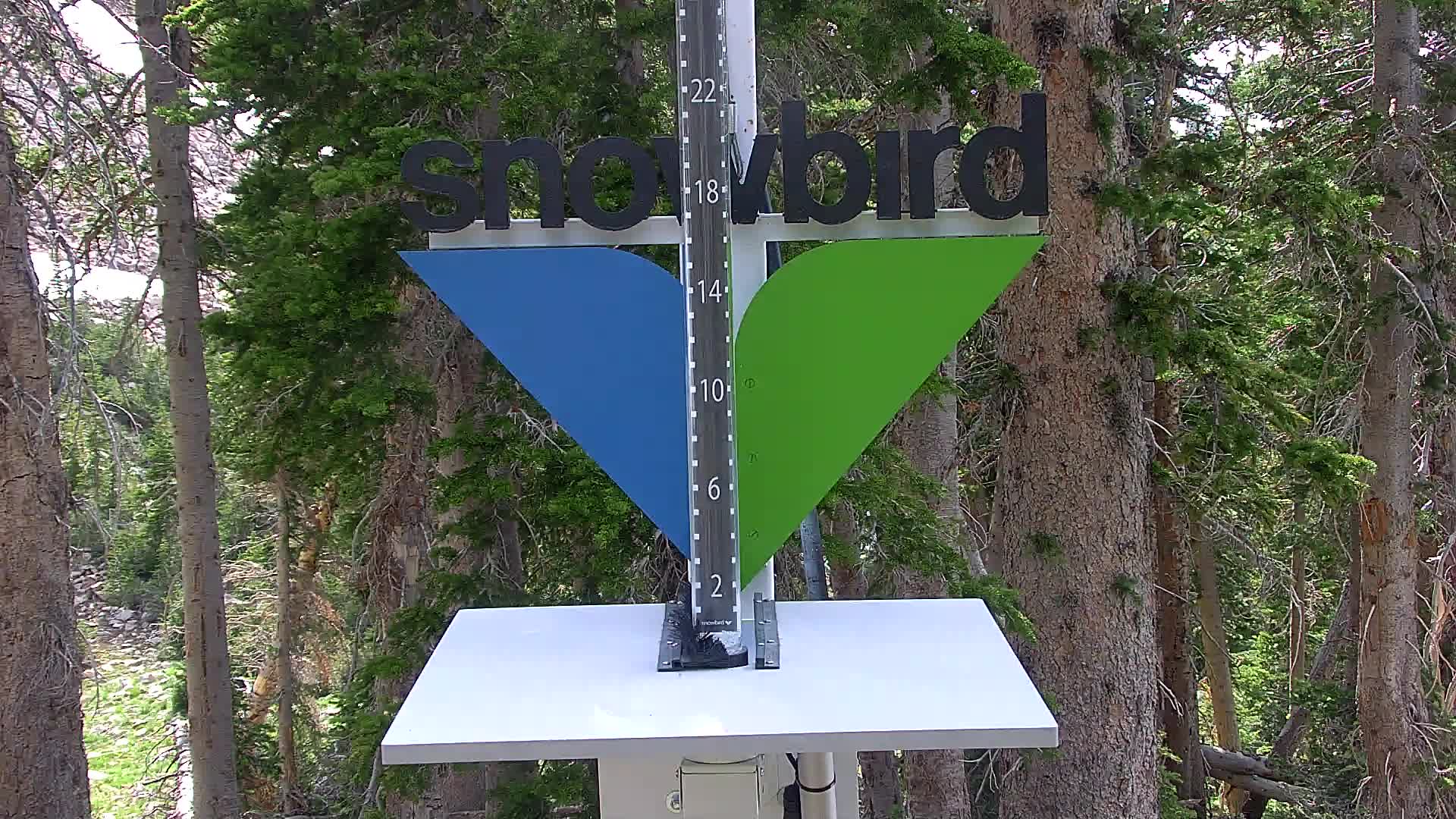 Snowbird snow stake cam