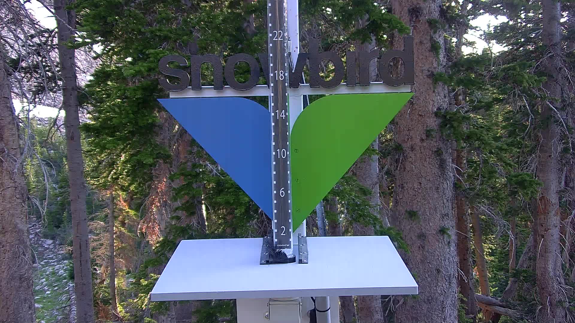Snowbird snow stake cam