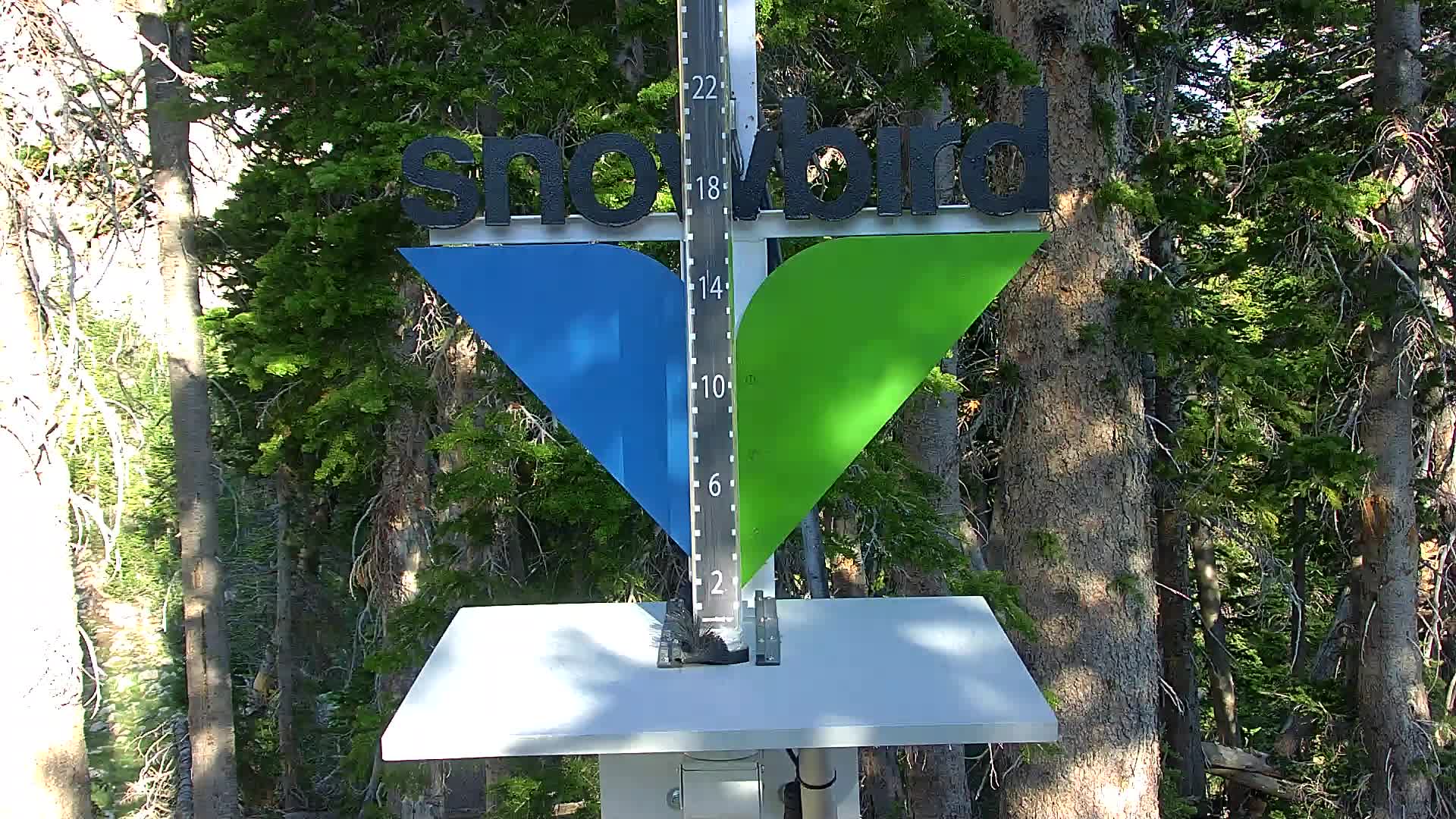 Snowbird snow stake cam