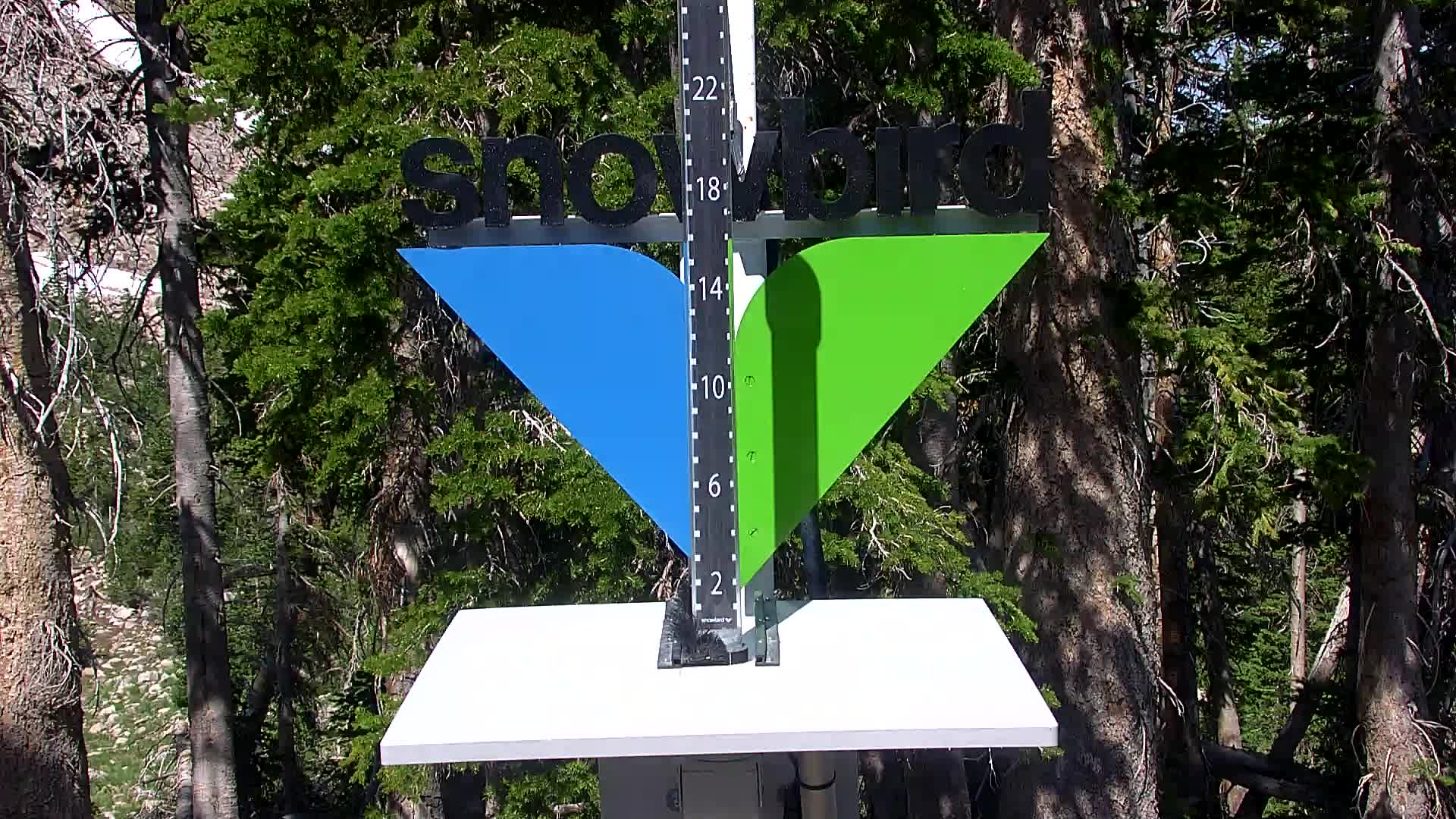 Snowbird snow stake cam