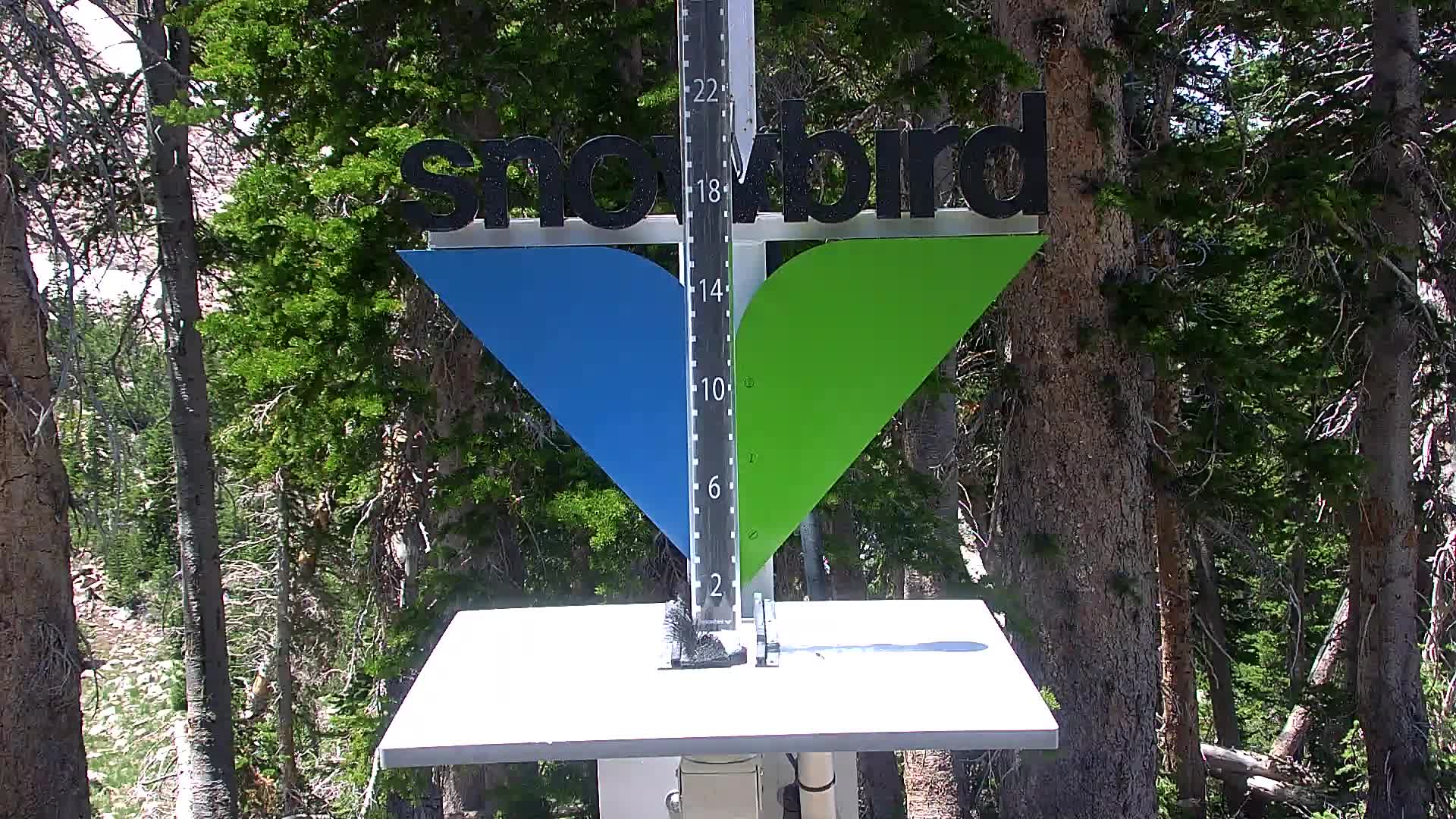 Snowbird snow stake cam