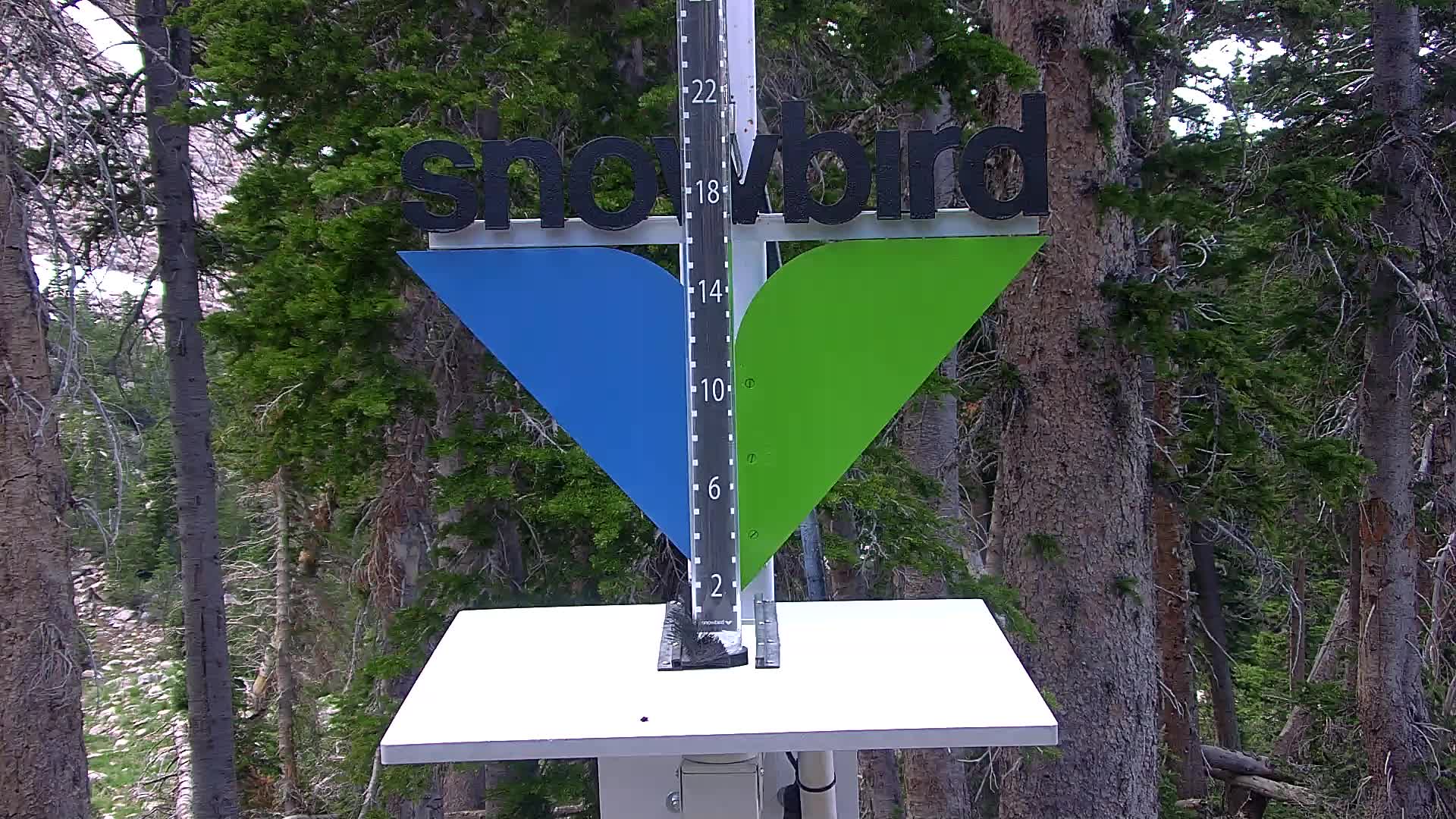 Snowbird snow stake cam
