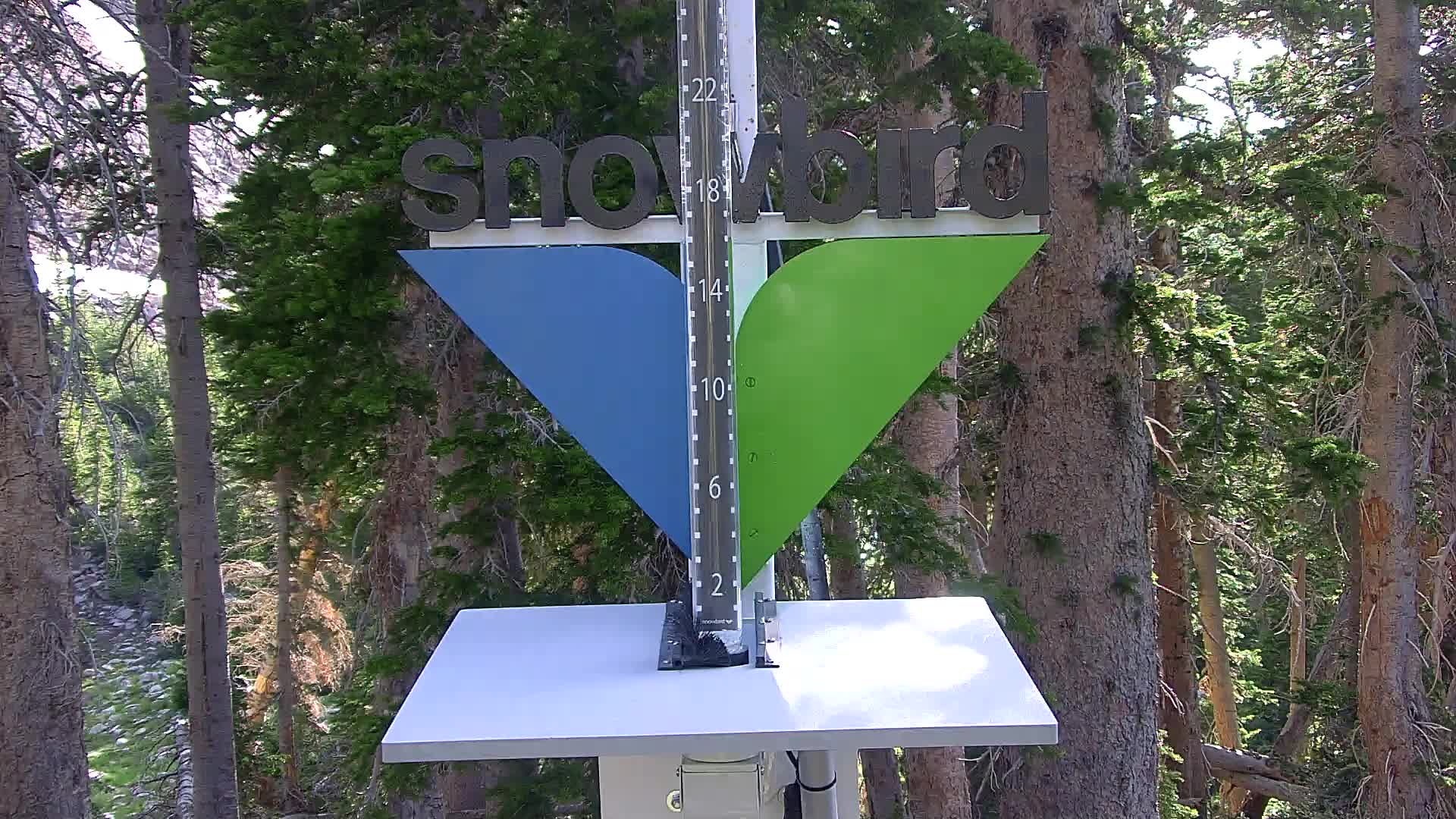 Snowbird snow stake cam