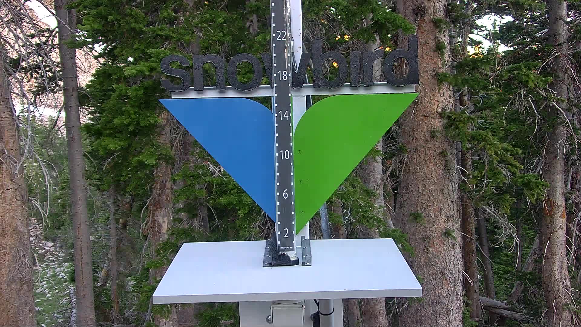 Snowbird snow stake cam
