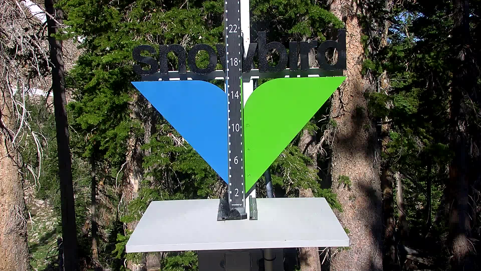 Snowbird snow stake cam