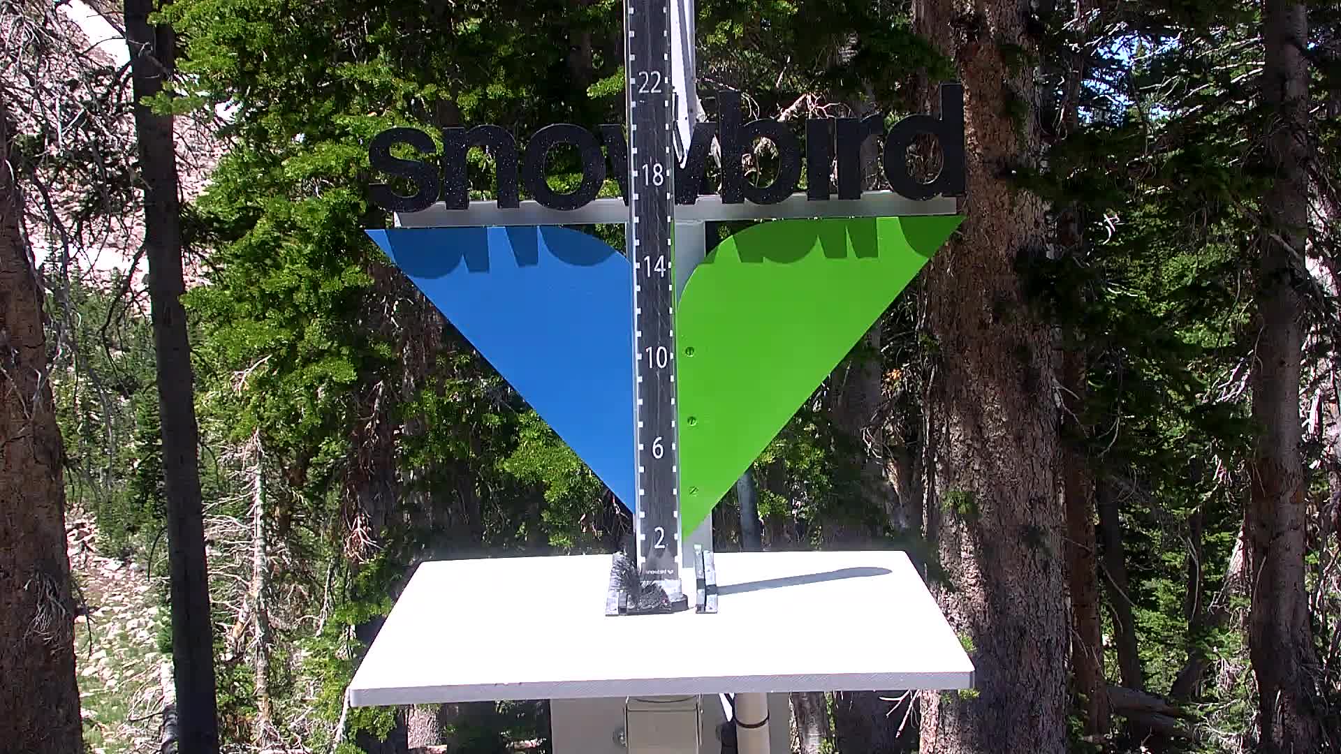 Snowbird snow stake cam