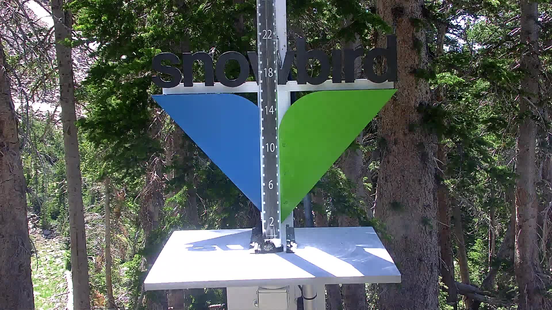 Snowbird snow stake cam