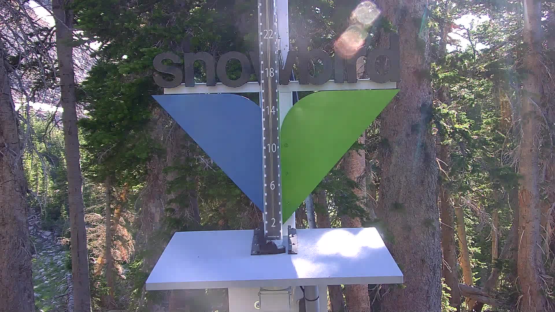 Snowbird snow stake cam